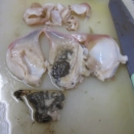 湯通しで桜色に ホッキ貝の刺身 捌き方 レシピ 作り方 By Startrek 楽天レシピ 湯通しで桜色に ホッキ貝の刺身 捌き方 レシピ 作り方 By Startrek 楽天レシピ